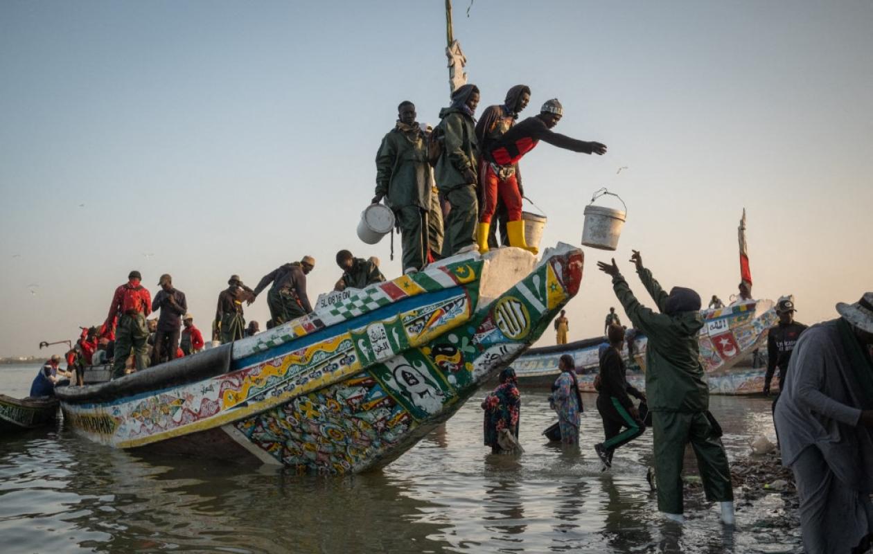 « Laisser mourir » : L'accusation gravissime des acteurs de la pêche contre l'État