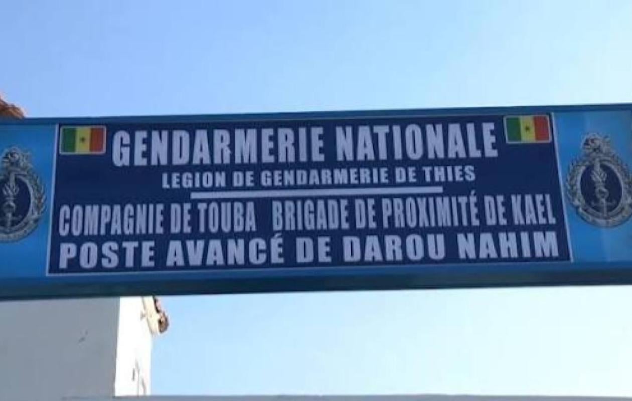 Vol d’une jument et de son poulain à Mbar : Un complice arrêté par la gendarmerie de Kaël
