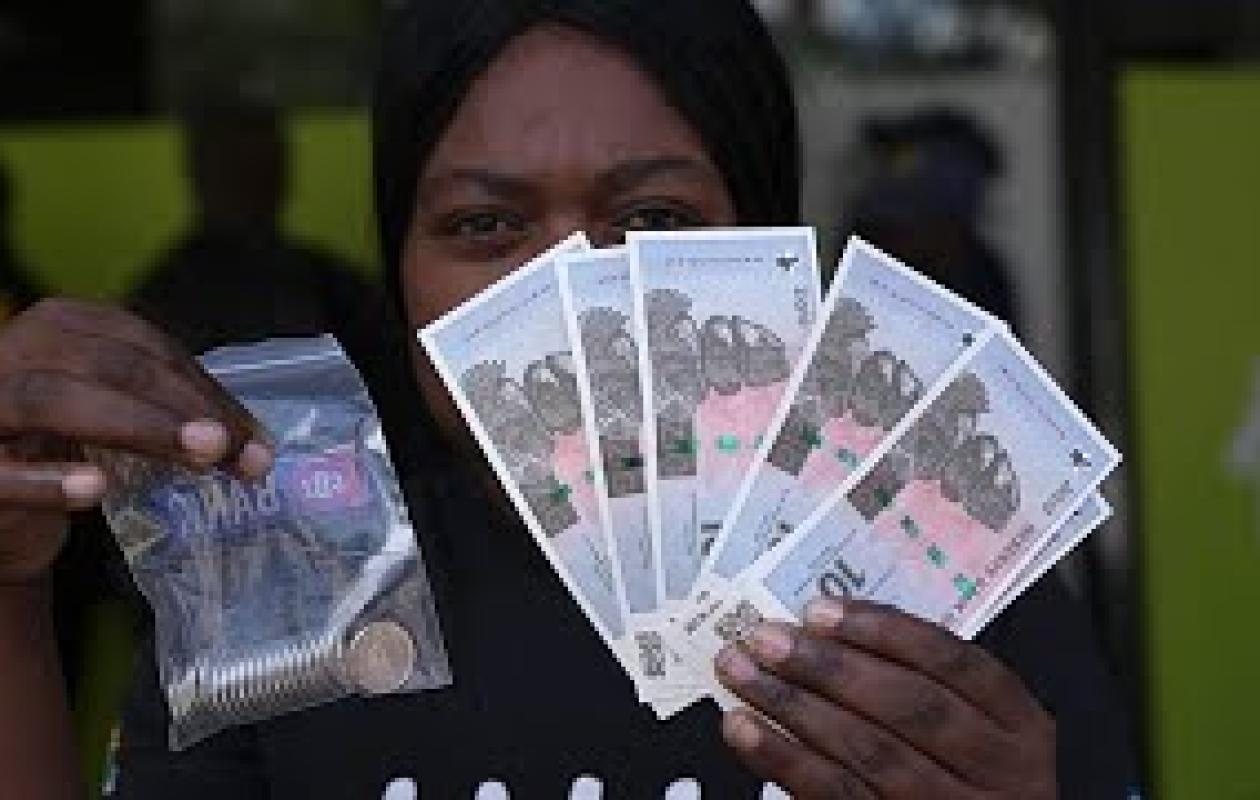 Zimbabwe : une nouvelle monnaie pour relancer l’économie