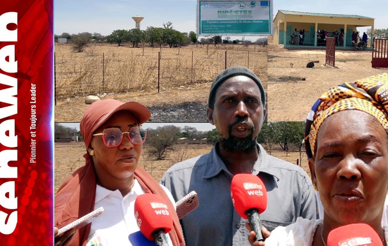 Missirah Wadenne : Le maraîchage des femmes sacrifié à cause d'une facture d'eau impayée