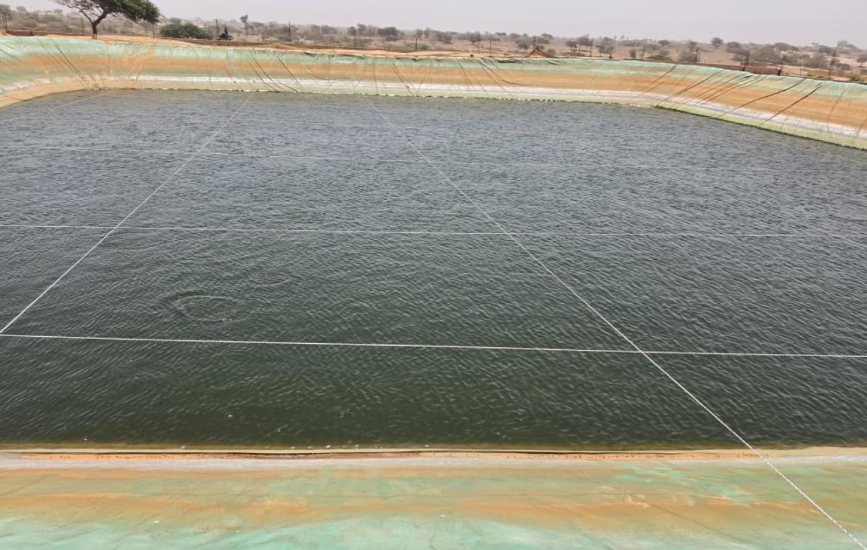 Aquaculture au Sénégal : un potentiel freiné par l’accès au foncier et à l’eau
