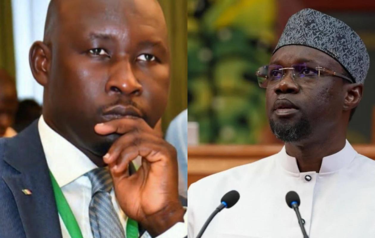 Diplomatie : « Le PM n'a aucune qualité à... », la nouvelle charge de Mayoro Diop contre Sonko