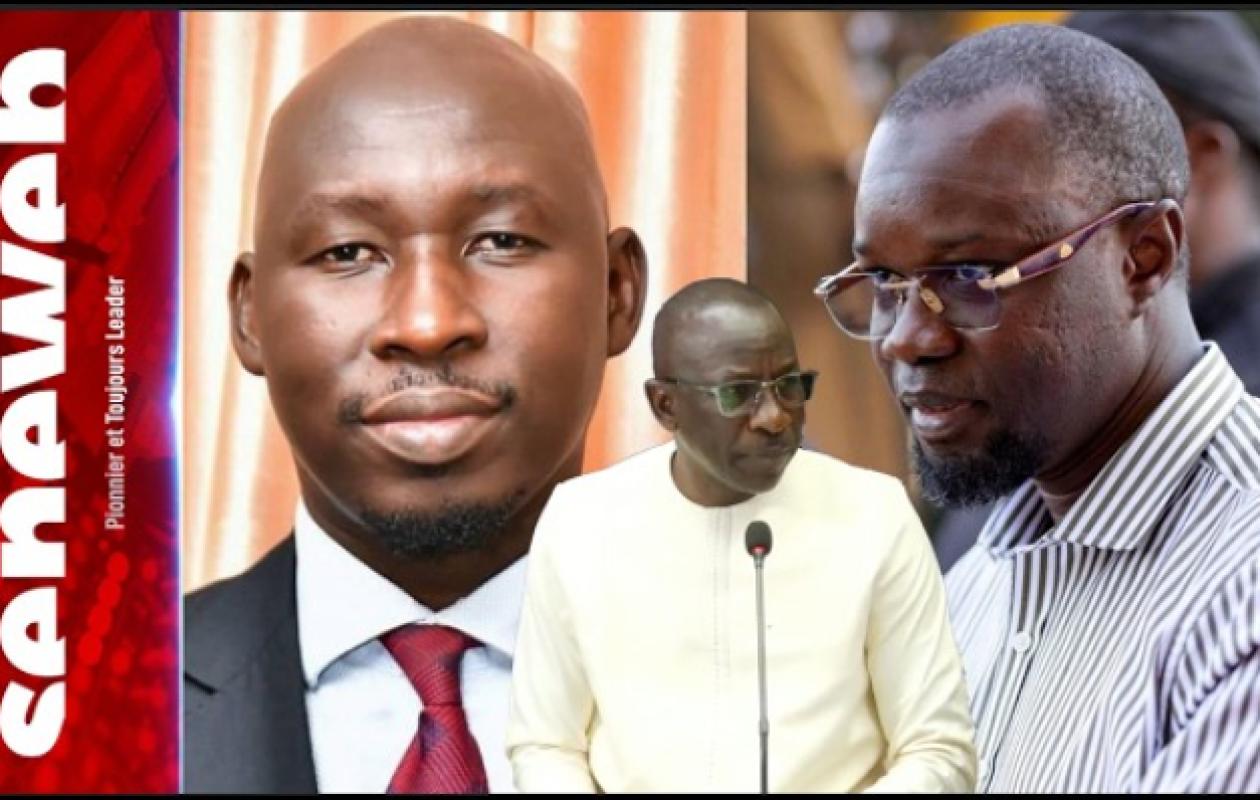 Attaque contre Sonko : La Cinglante réplique de Samba Tall Sarr à Mayoro Diop