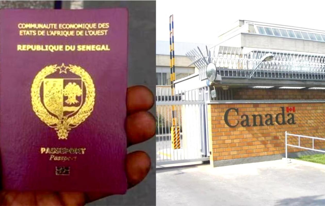 Diaspora : Le cri de détresse des Sénégalais du Canada, menacés d'expulsion à cause de leurs passeports !