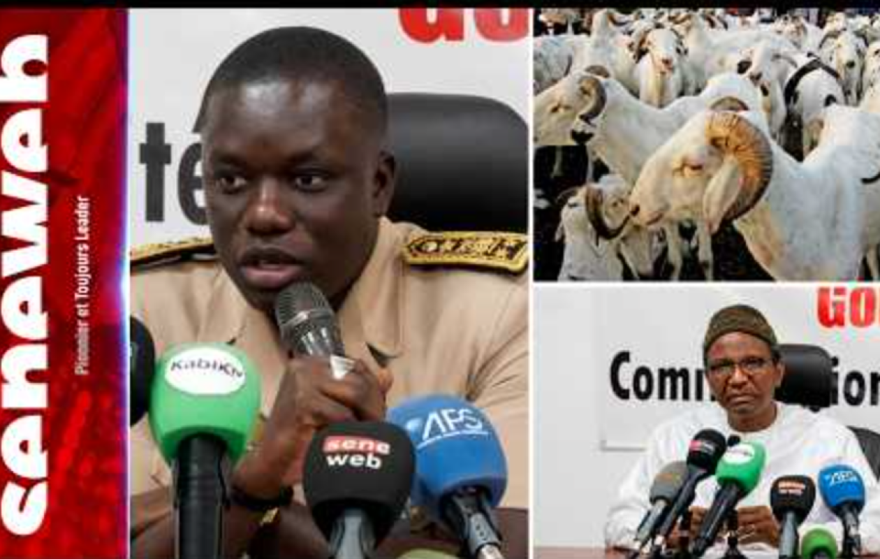 Tabaski 2026 : Thiès vise 230 000 moutons malgré des défis persistants