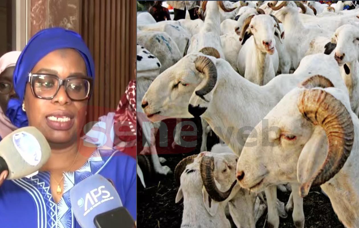 Tabaski :Kaolack aura besoin de 50 000 têtes de moutons
