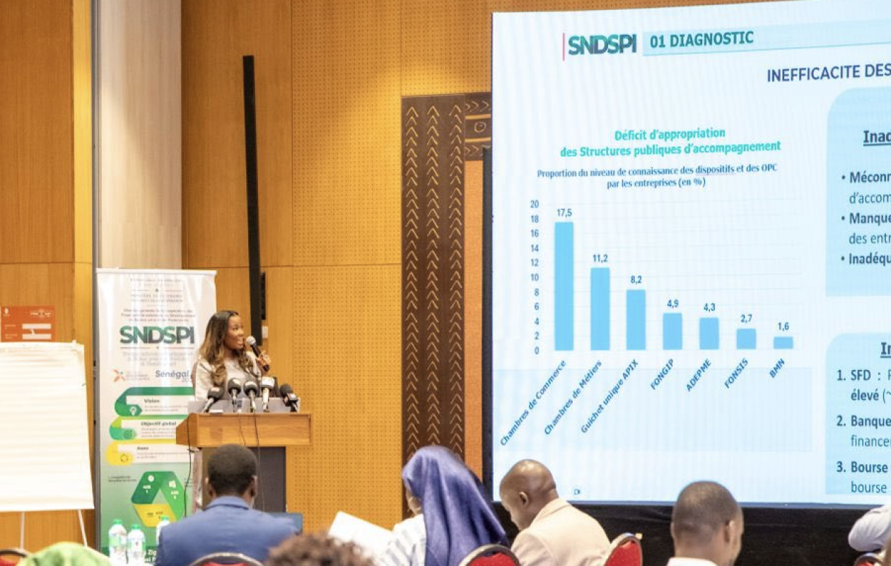 SNDSPI : Les détails de la nouvelle stratégie de l’Etat pour développer le privé national