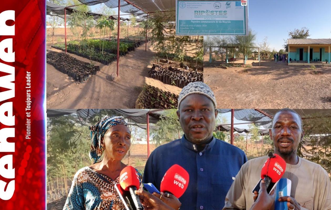 Comment le manque d'eau est en train de tuer l'espoir d'un renouveau vert à Koungheul