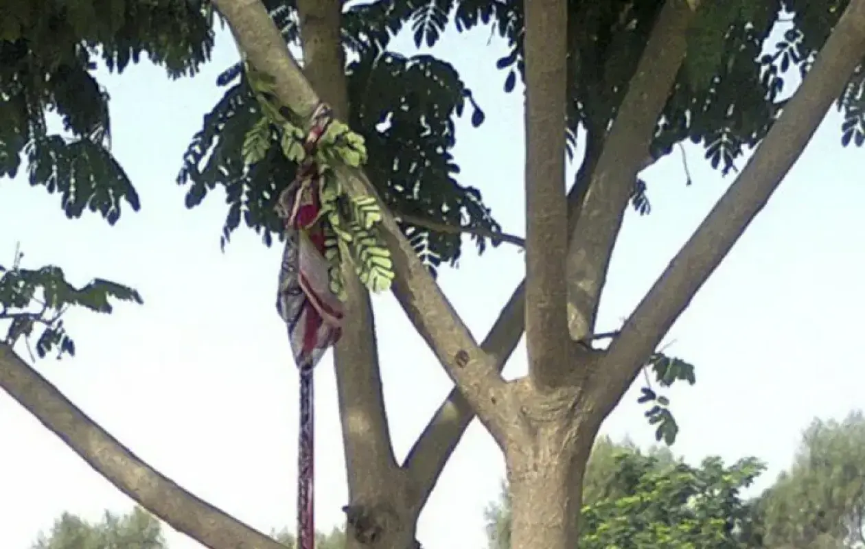 Drame à Pout Diack : Un homme marié, père de trois enfants, retrouvé pendu à un arbre