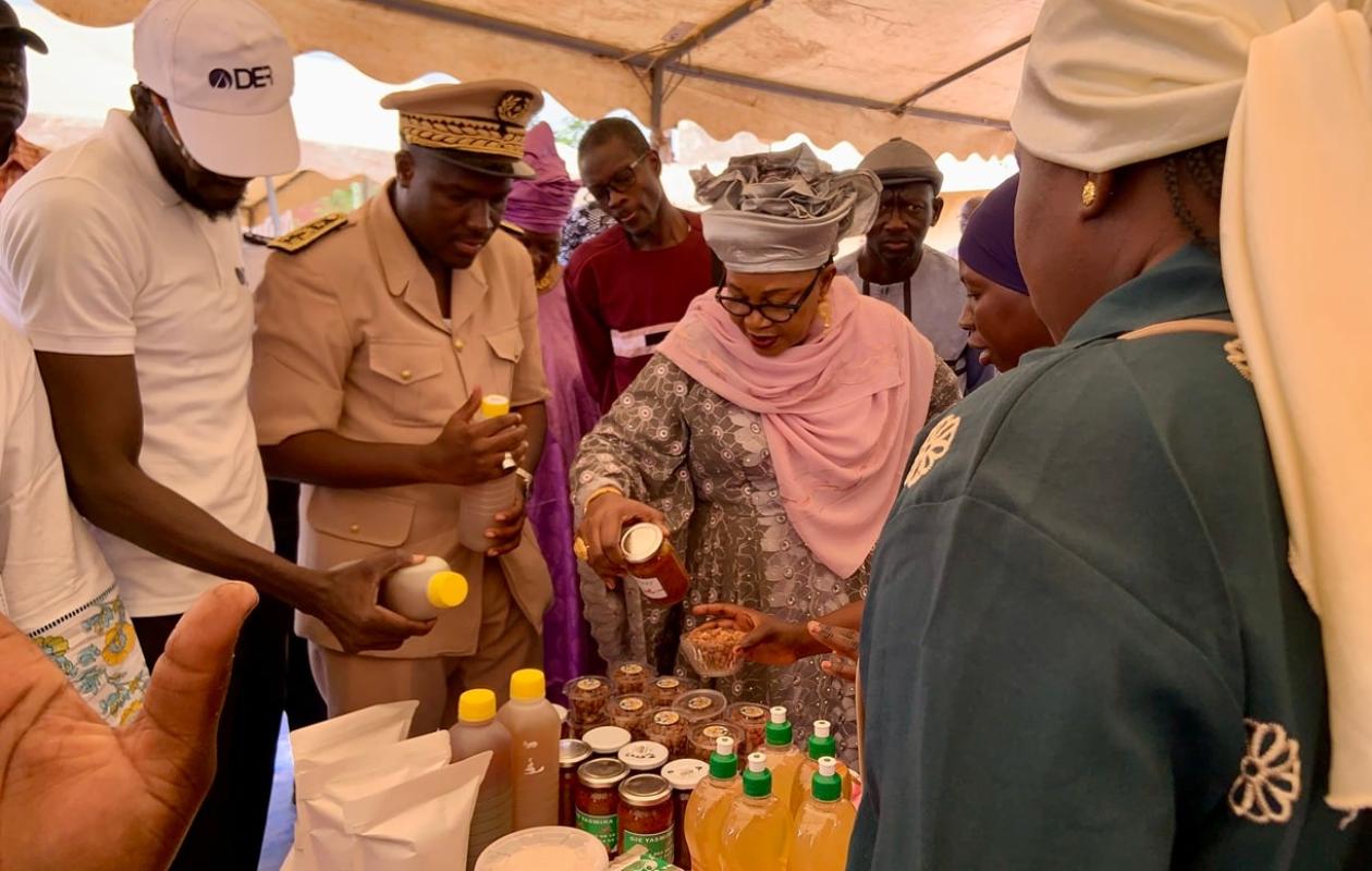 Financements, emplois et remboursement : la DER/FJ dresse le bilan de BE YES sur le terrain