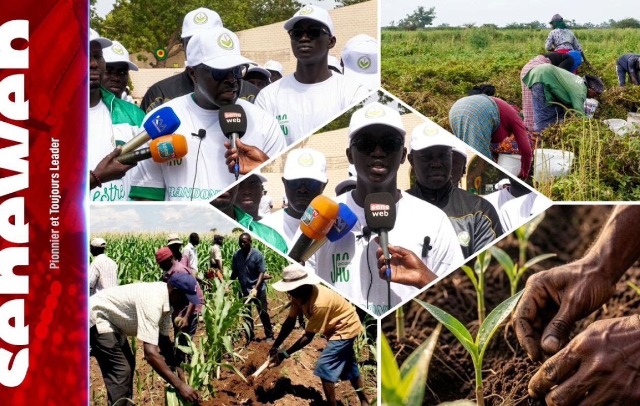 L’agriculture sénégalaise continue de faire face à d’importantes difficultés malgré les efforts consentis par les autorités publiques depuis l’indépendance