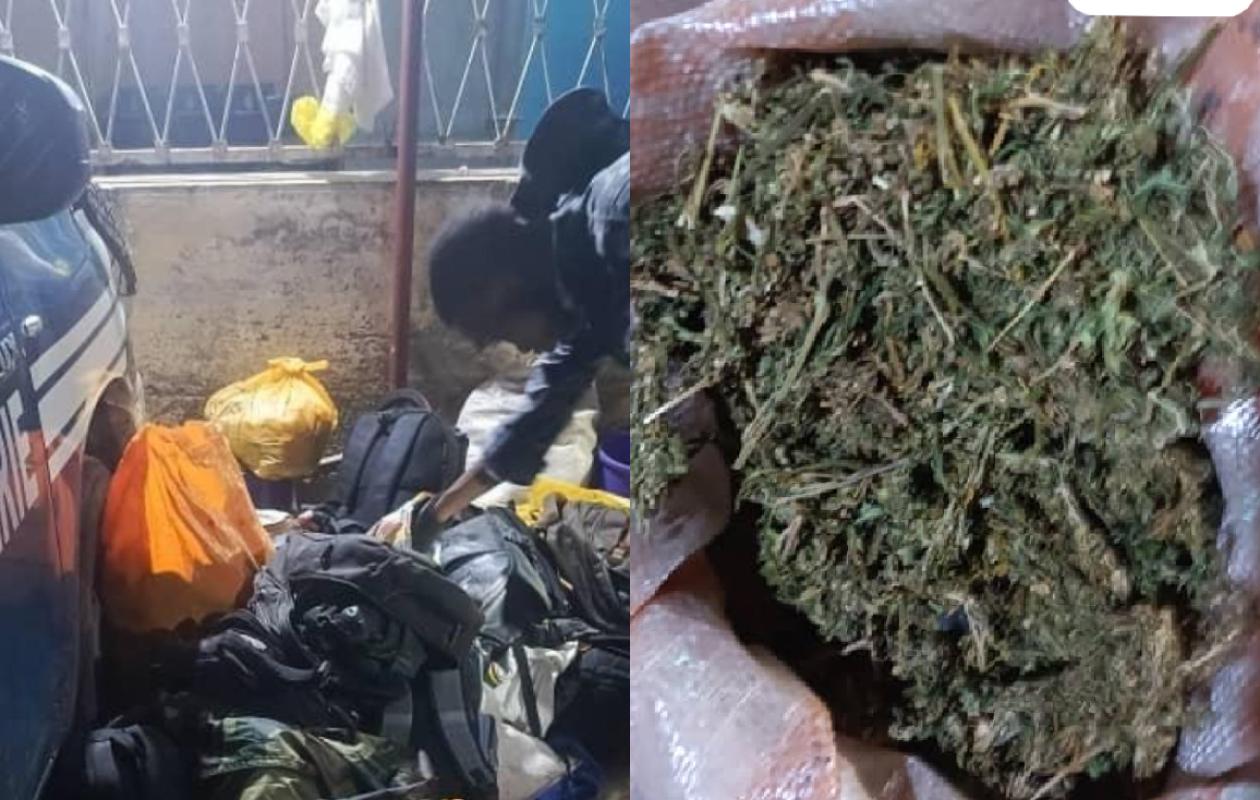 Kafountine : Saisie de 300 kg de chanvre indien