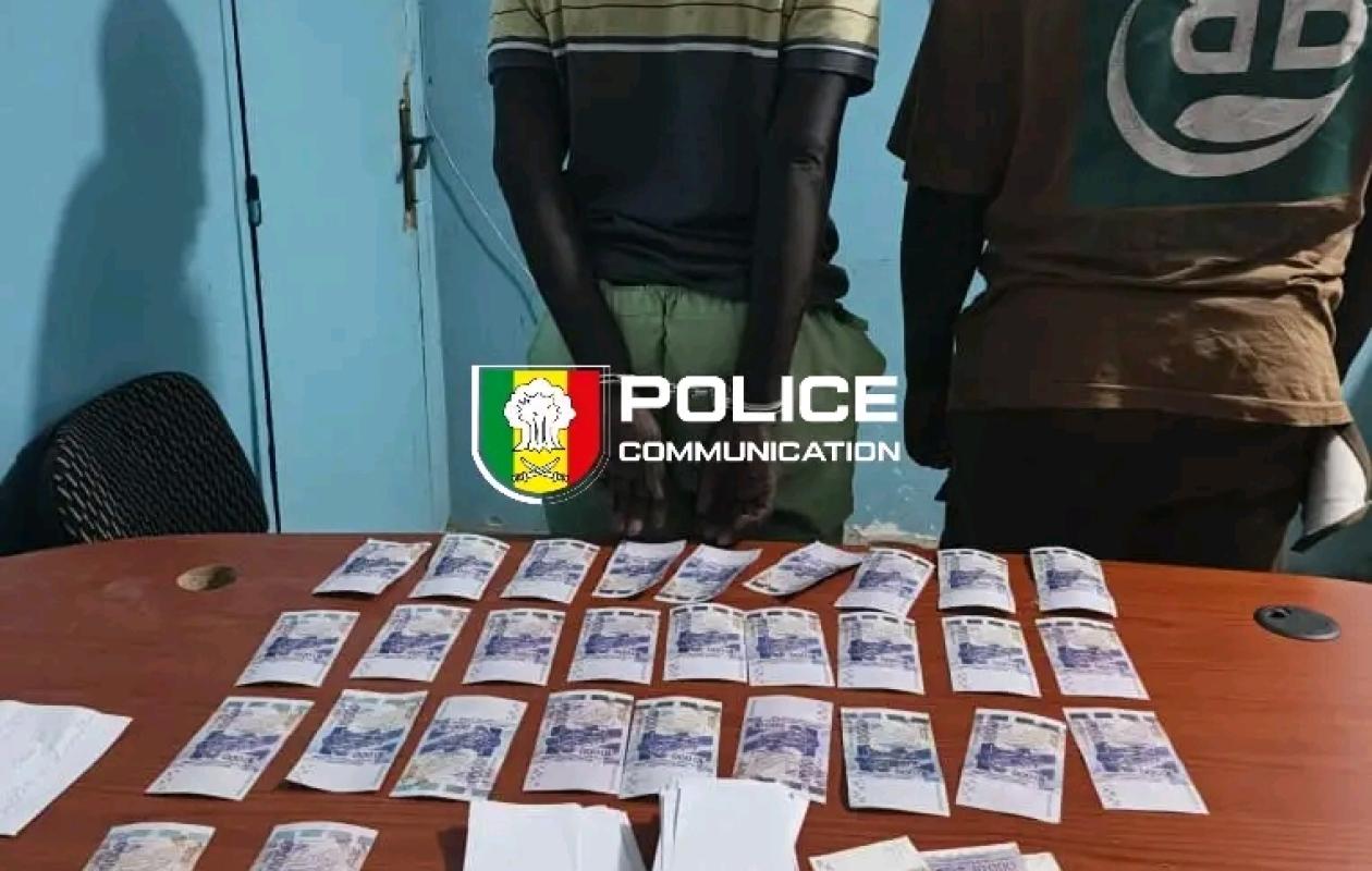 Faux-Monnayeurs à Thiès : 510 000 FCFA en Billets Contrefaits et Près de 3 Millions en Billets Noirs Saisis