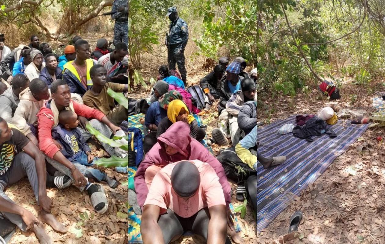 Bignona : 42 migrants, dont des femmes et des enfants, interpellés dans la forêt de Niafrang