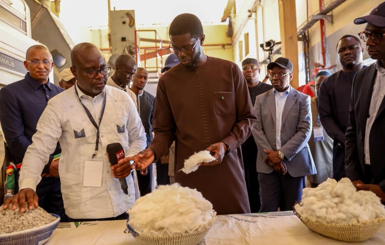 «Les résultats commencent à se faire sentir…» : A Vélingara, l’optimisme du Pr. Diomaye pour la filière coton