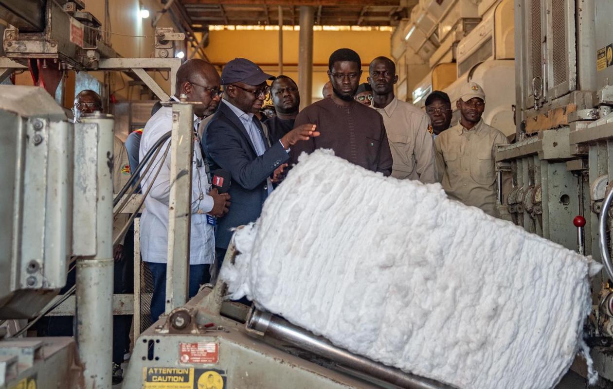 VELINGARA: Le président Bassirou Diomaye Faye se félicite du dévellopement de la filiére coton