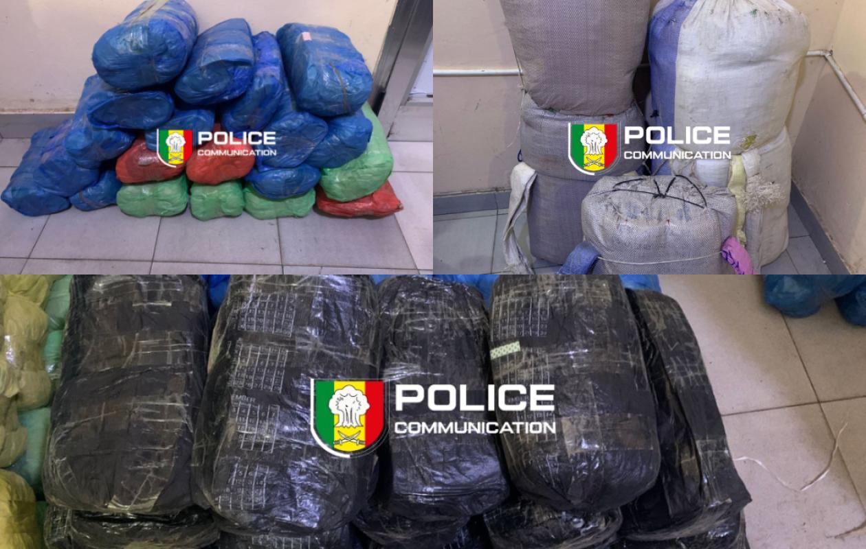 Saisie à Fatick et Kaolack : L’OCRTIS frappe un grand coup et intercepte plus de 100 kg de drogue !