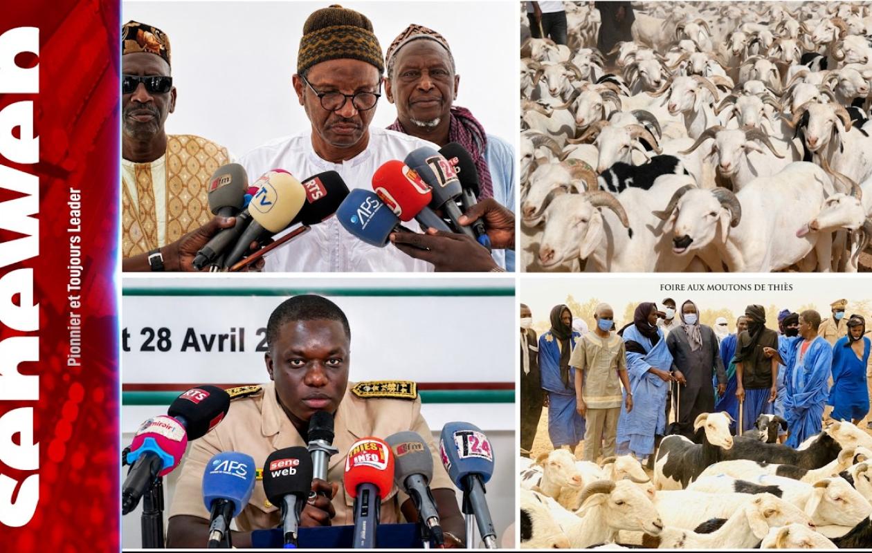 Moutons chers et rares ? Ismaïla Sow alerte sur les répercussions de la situation au Mali