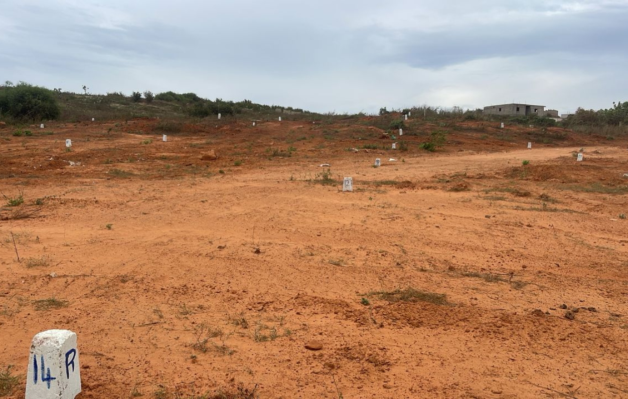 Toubab Dialaw : Diaspora et autorités locales font bloc pour préserver leurs terres