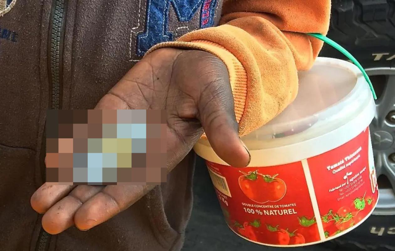 Pout : La  poisse d'un talibé arrêté pour des oignons et trahi par un téléphone !