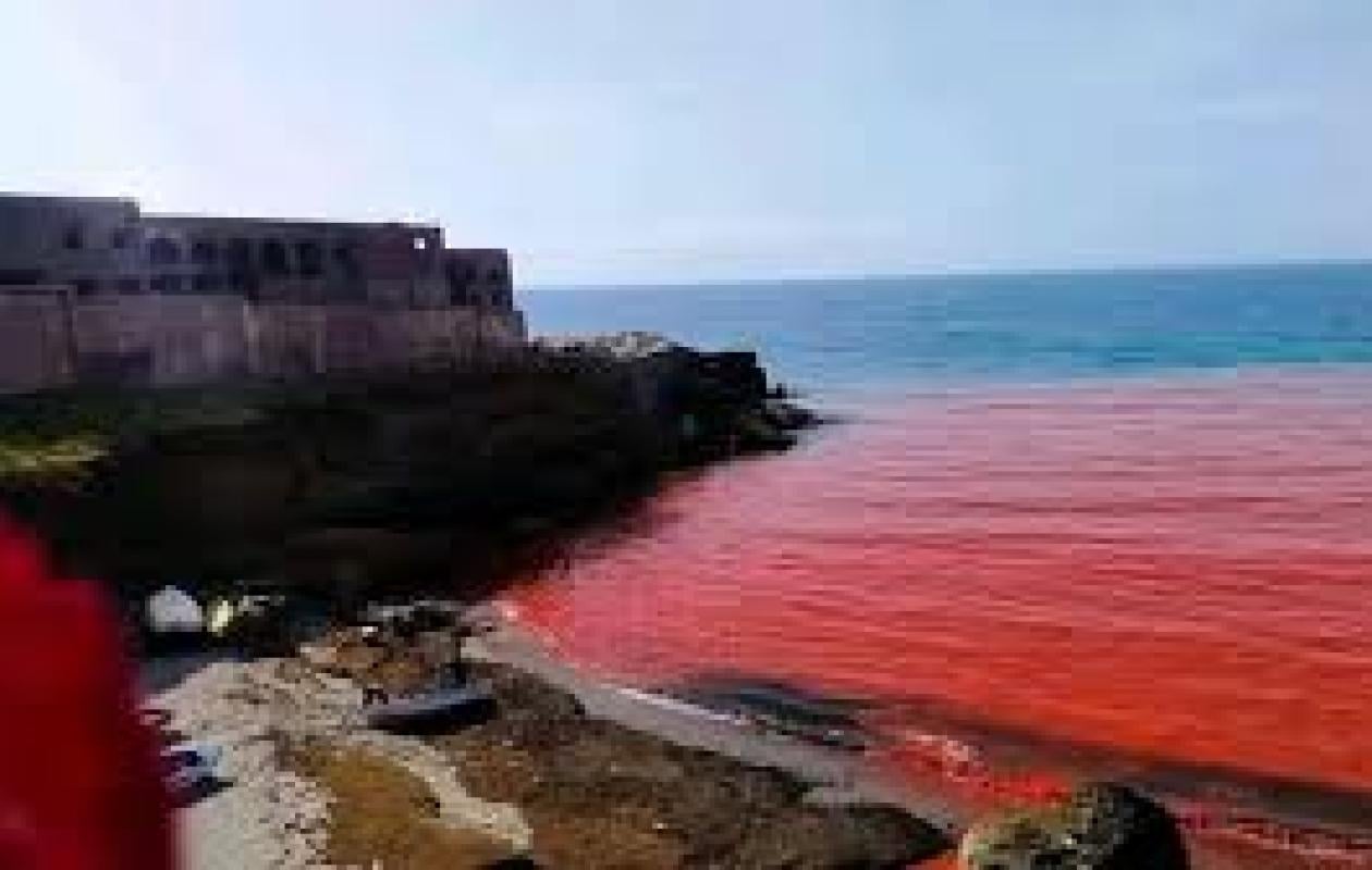 Mystère en Algérie : Les eaux de la plage du «Cimetière» virent subitement au rouge