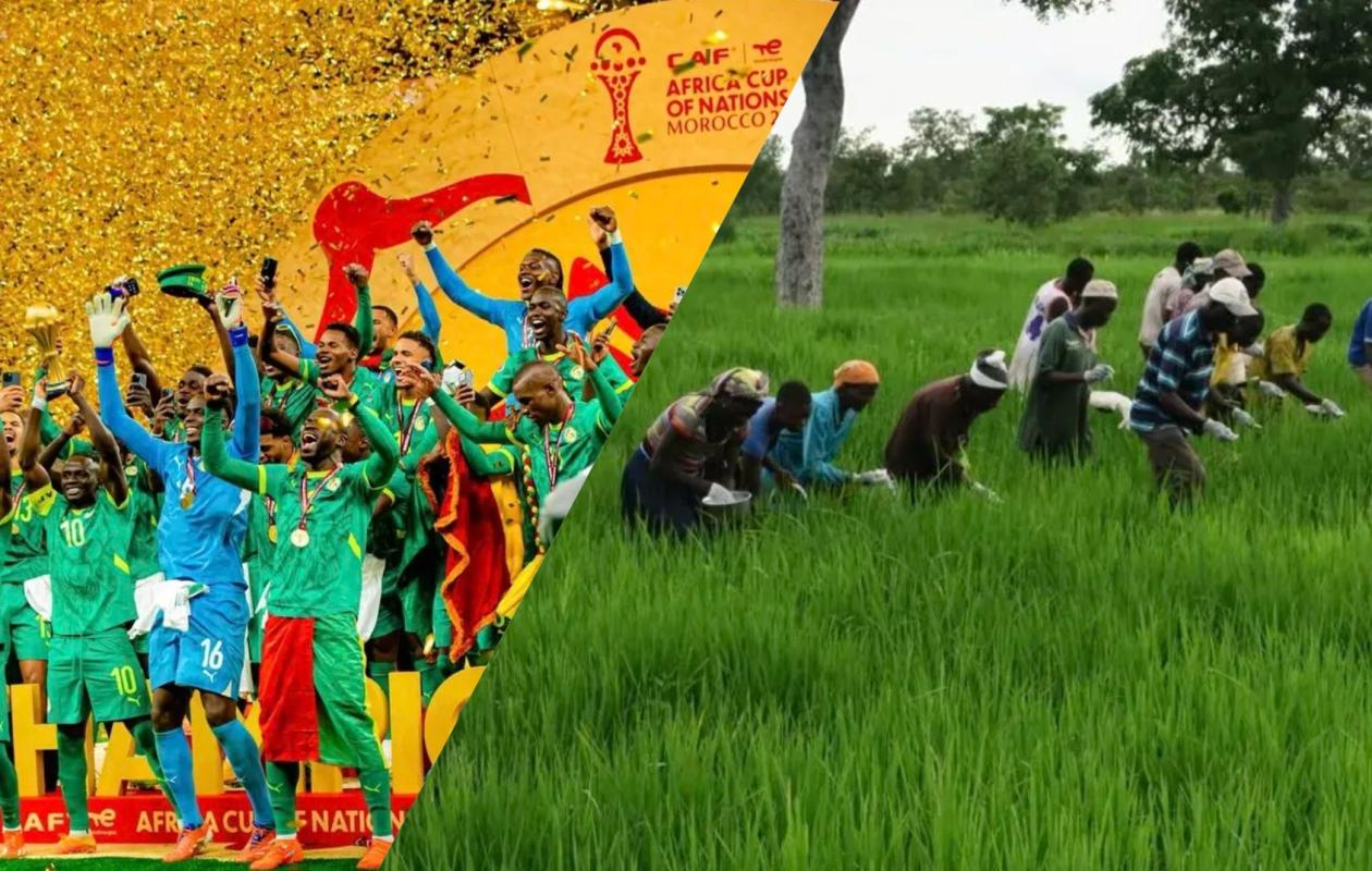 Primes des Lions, étude économique [3/3] : comment Sadio Mané, Kalidou Koulibaly, Iliman Ndiaye et Cie auraient pu créer 2500 emplois
