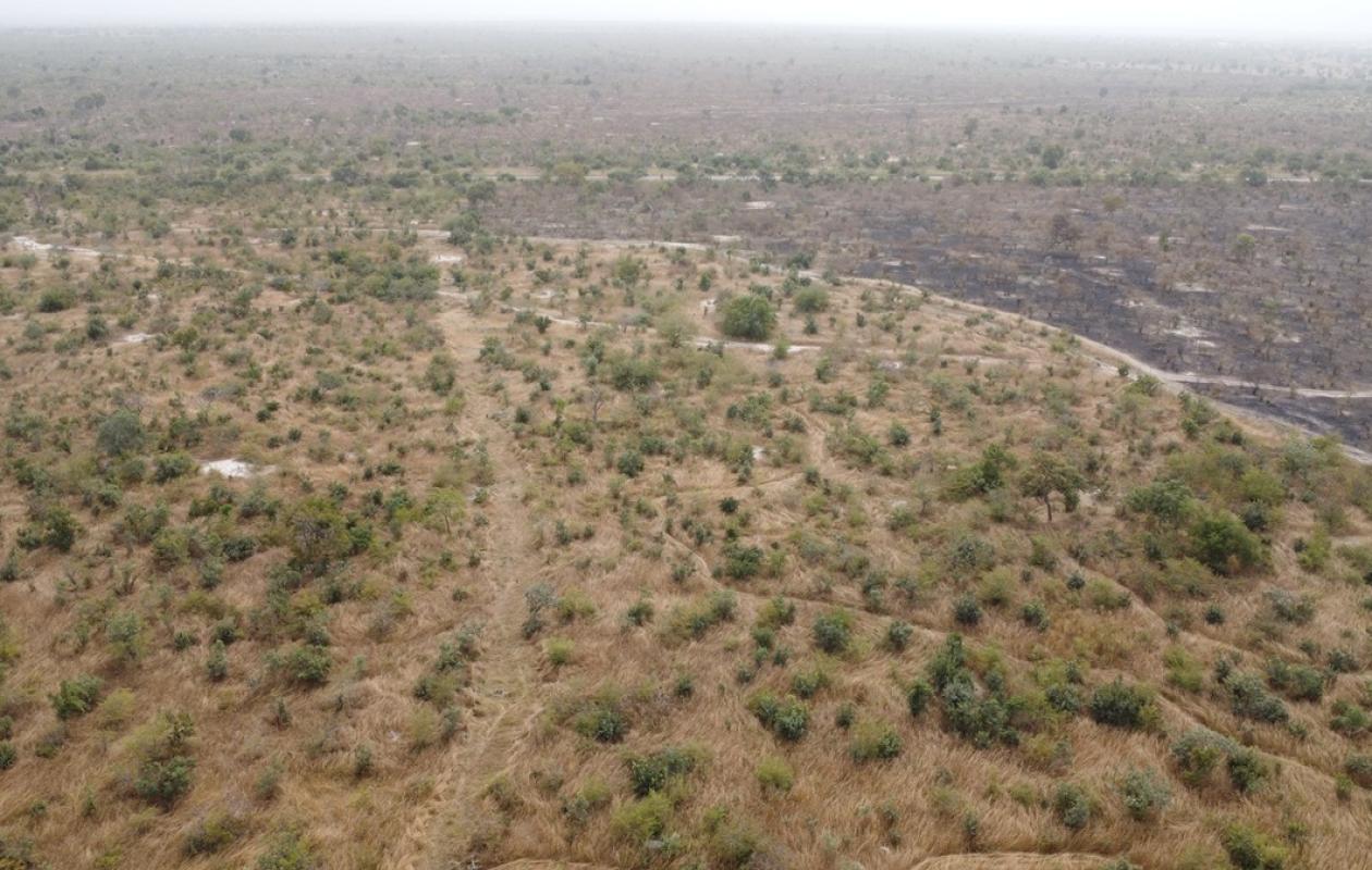 Safari  : Ce projet titanesque qui promet de booster le tourisme de 21 %, mais qui attend le feu vert de l'État