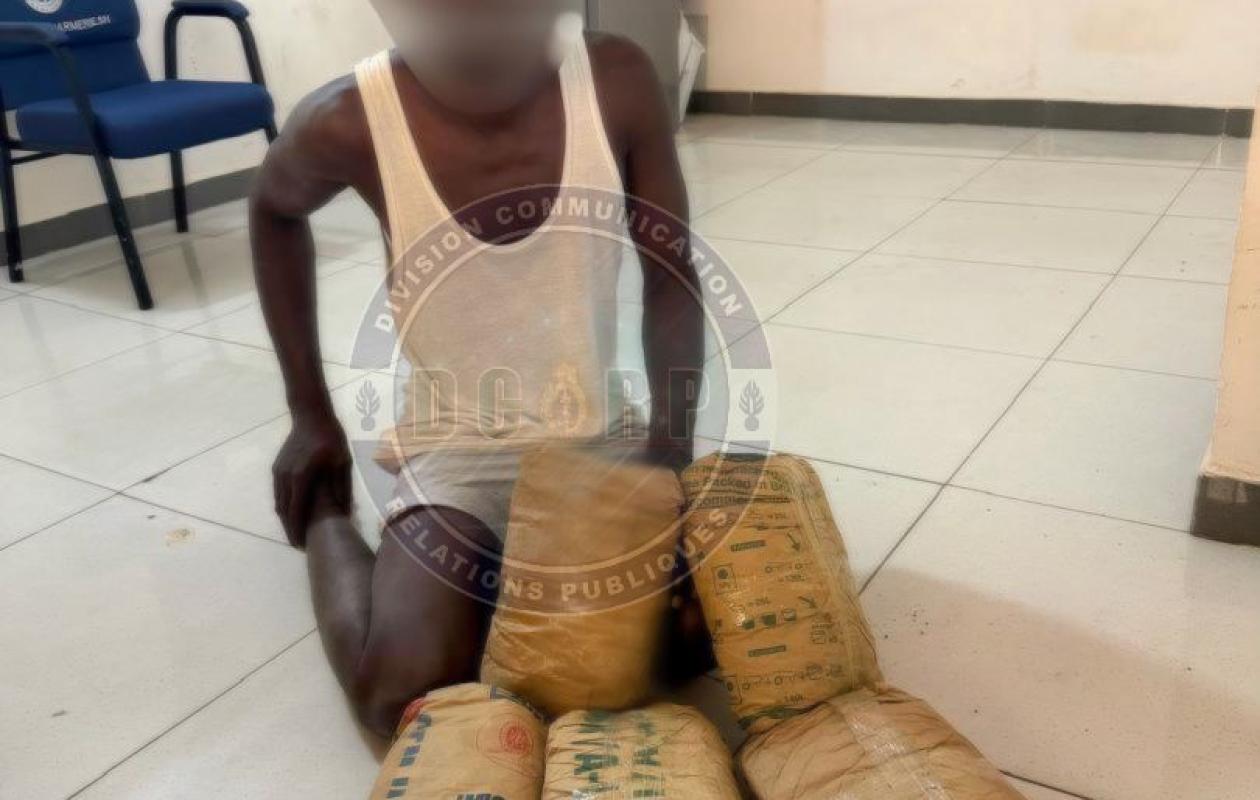 Kaolack : la Section de recherches saisit 5 kg de chanvre indien et interpelle un trafiquant