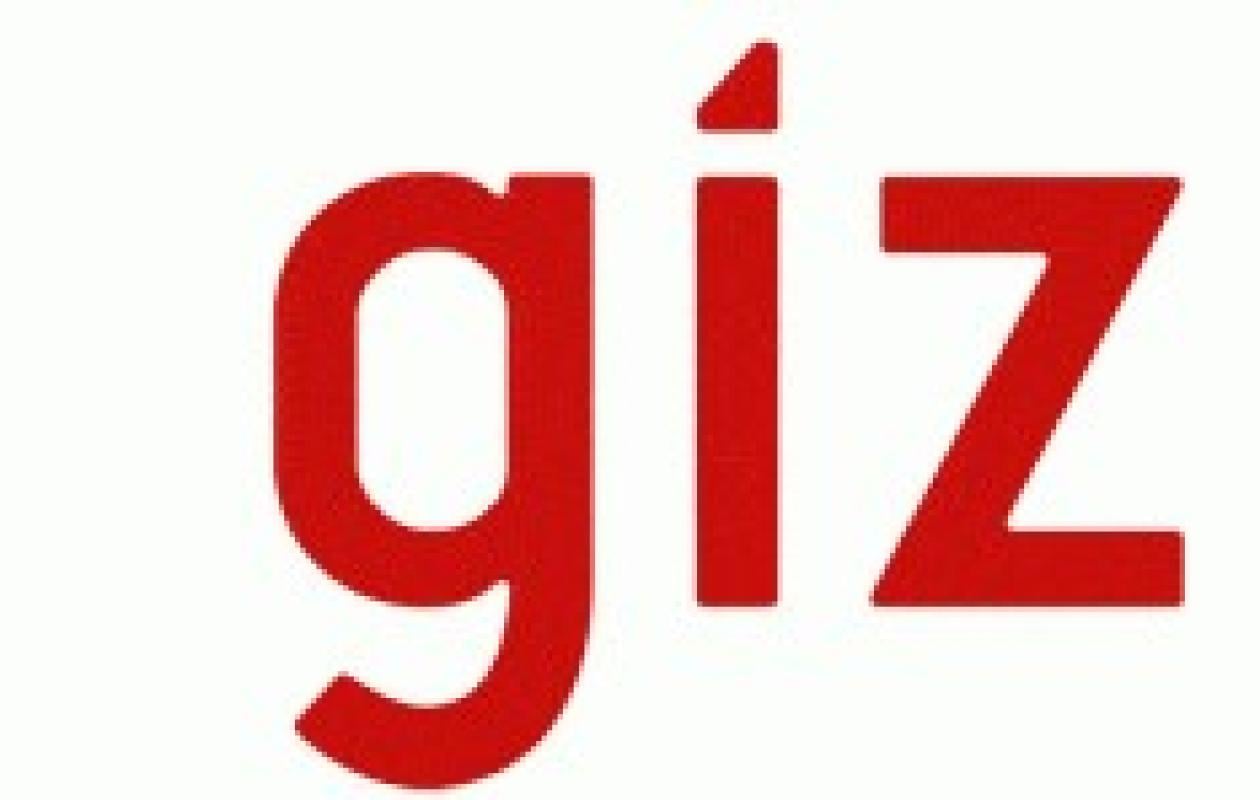 GIZ : AVIS D’APPEL D’OFFRES