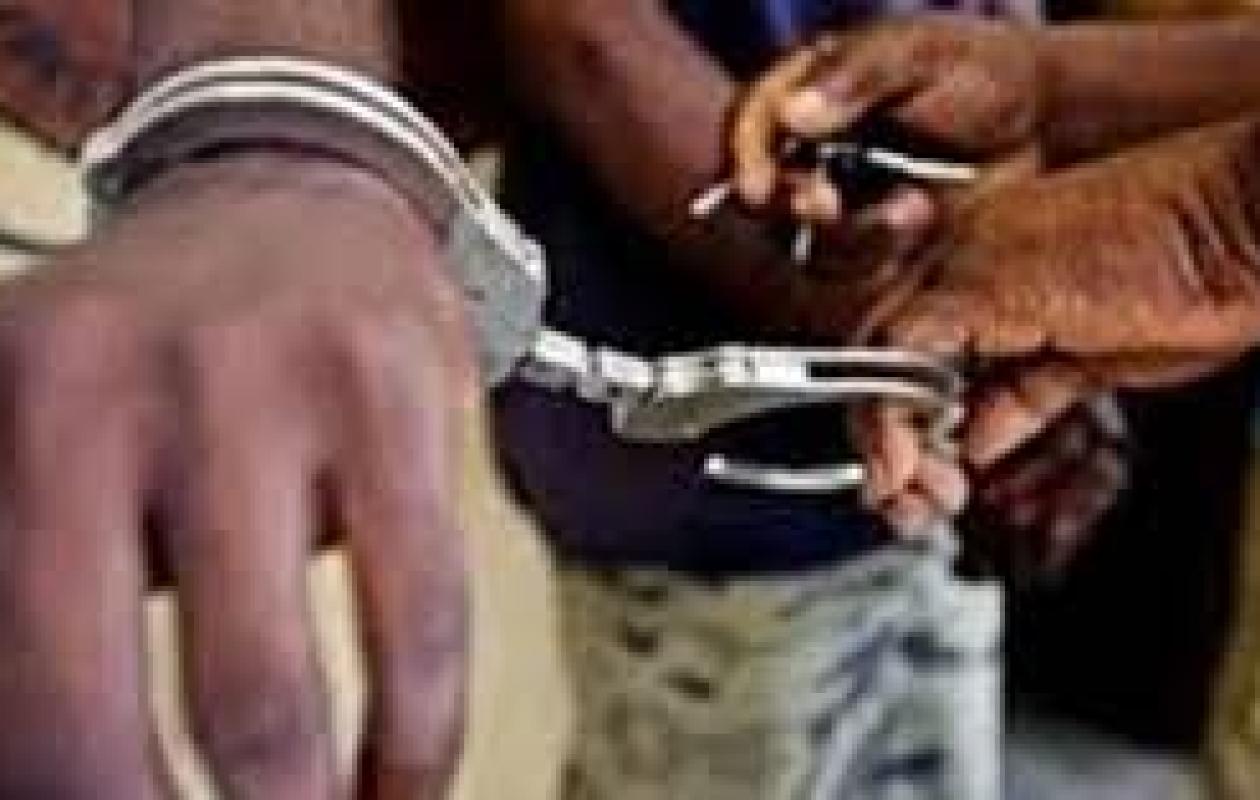 Soupçon de vol de bétail : deux jeunes bergers à la barre après une violente rixe