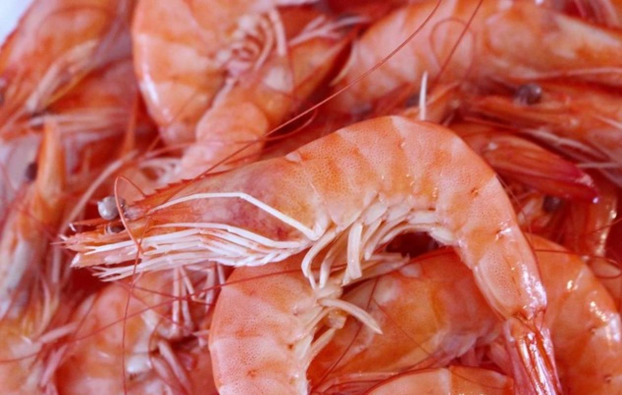 Listeria : Des crevettes contaminées rappelées partout en France, il ne faut surtout pas les manger
