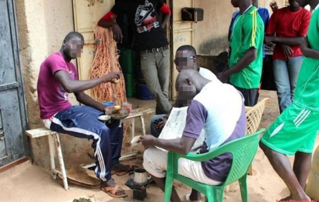 Chômage des jeunes : Le COAPP alerte sur une bombe à retardement en Afrique de l’Ouest