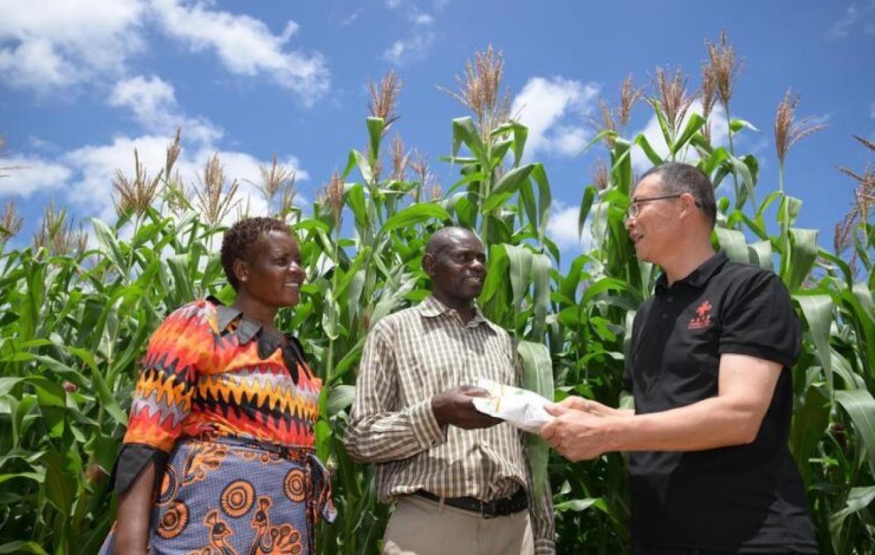 Le Zimbabwe verse 146 millions de dollars d’indemnités aux agriculteurs étrangers