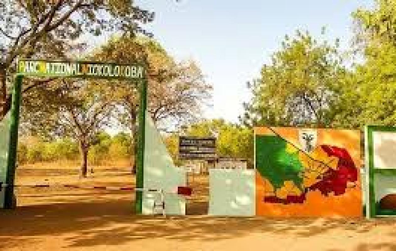 Accident de la circulation dans le Parc National de Niokolo Koba : 03 morts et 19 blessés