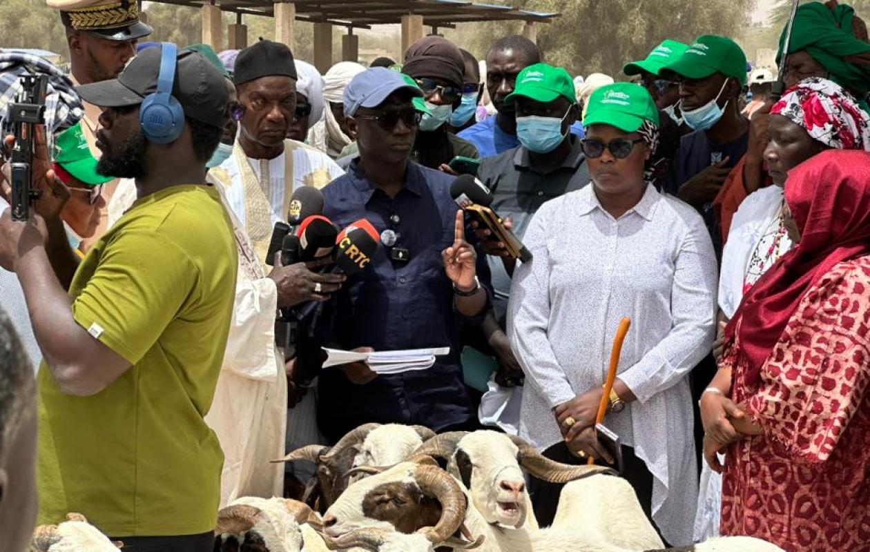 Moutons "Made in Senegal" : la grande promesse du ministre de l'Élevage pour sécuriser la Tabaski