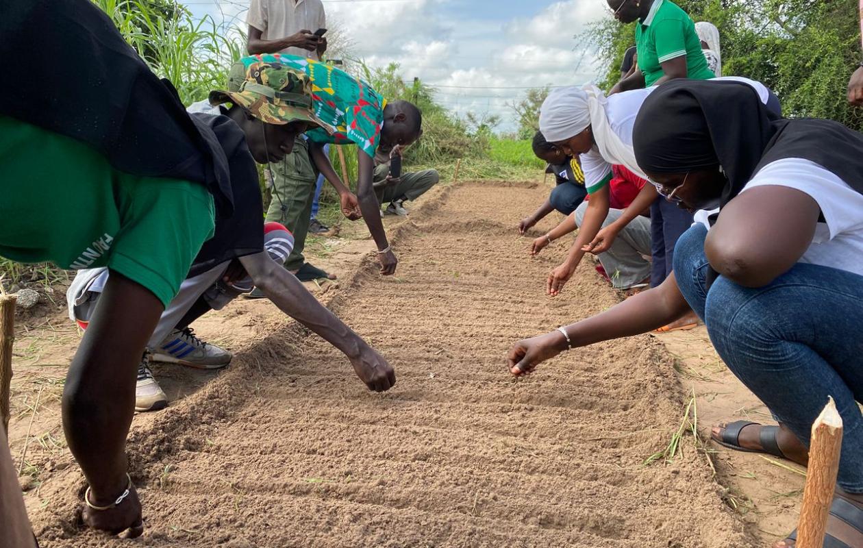 Thiès : Des acteurs agricoles misent sur les savoirs traditionnels pour renforcer la résilience alimentaire
