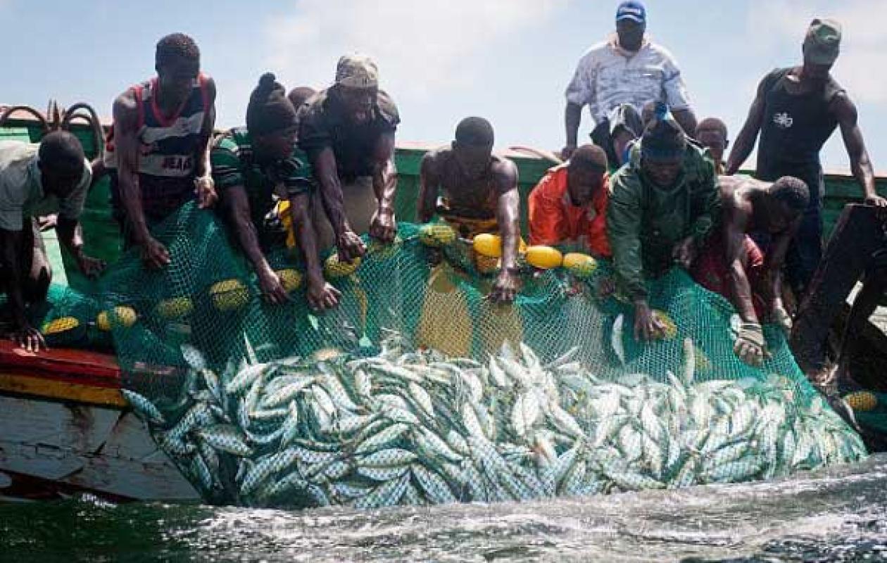 Dégel partiel des licences de pêche démersal côtière : Les pêcheurs artisanaux expriment leurs inquiétudes