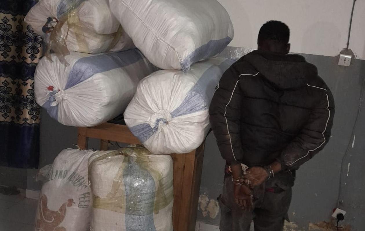 Sédhiou : 114 kg de chanvre indien saisis  après une course-poursuite de 15 kilomètres, un trafiquant arrêté par l'OCRTIS