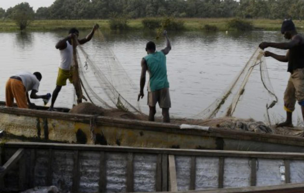 Nigeria: une trentaine de pêcheurs et bûcherons tués par des jihadistes dans le nord-est