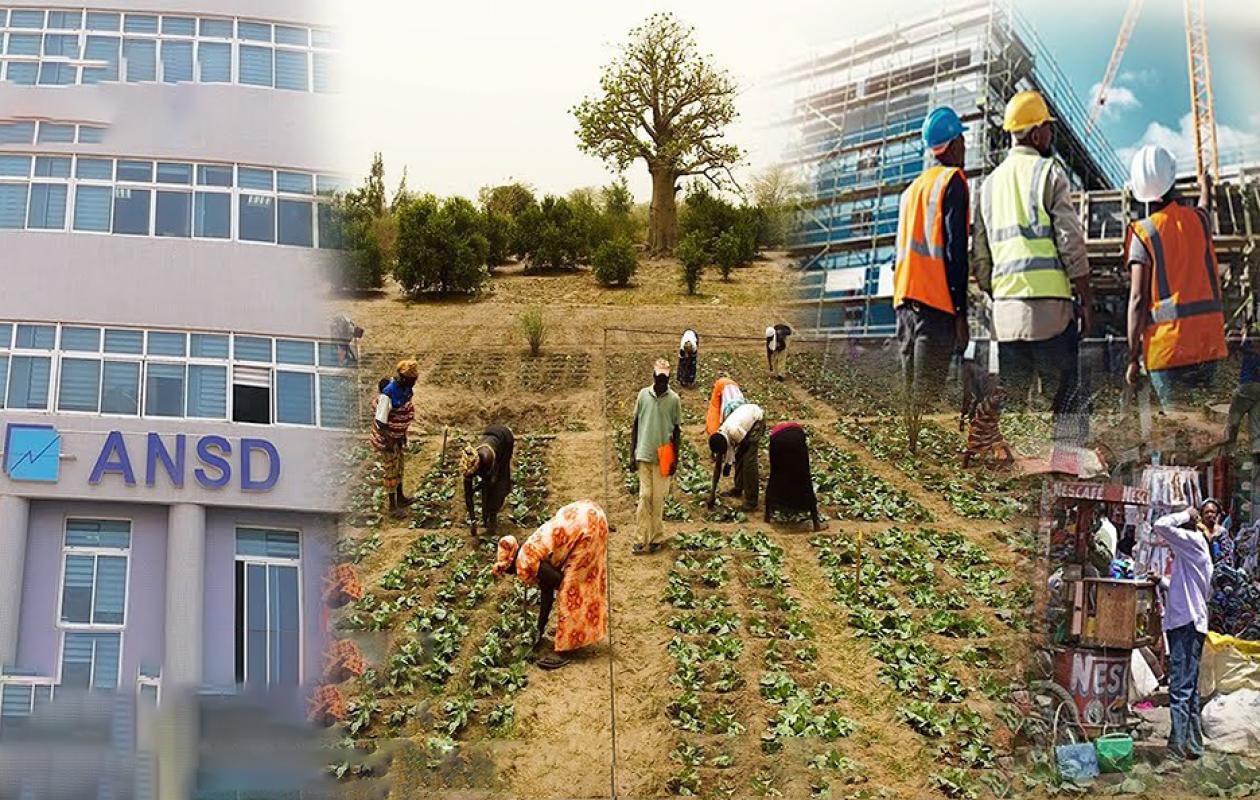 Economie : La création d’entreprises en baisse au Sénégal (T1)