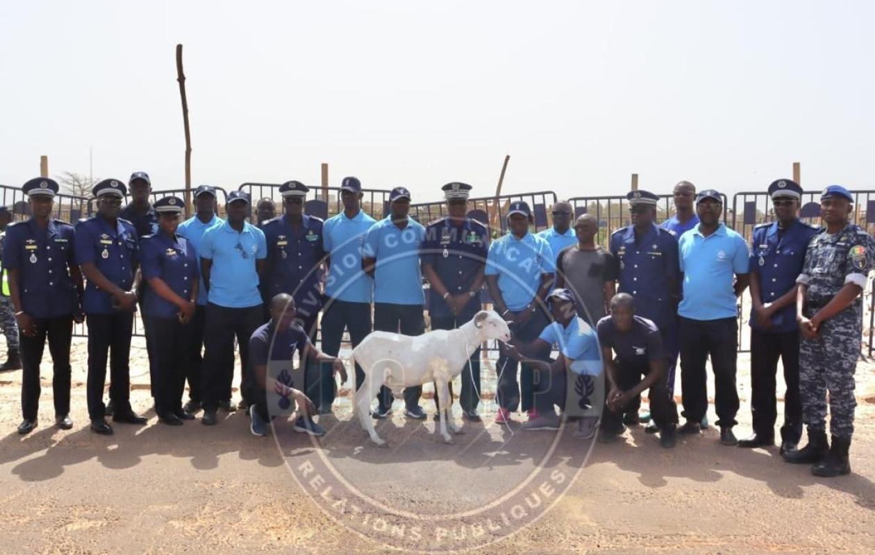 Opération Tabaski 2026 : Le haut-commandant de la gendarmerie en visite au site de distribution de moutons de Mbao