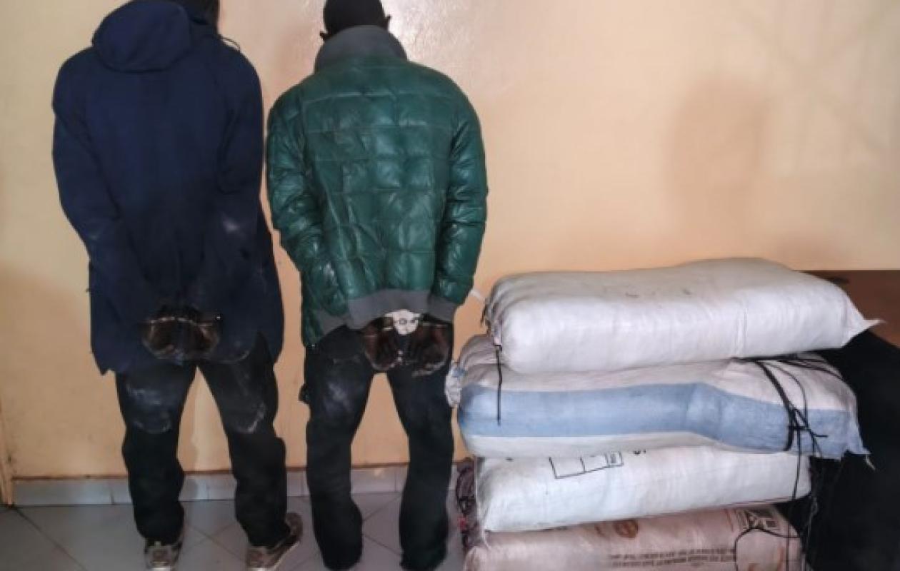 Sédhiou : un vendeur de "maïga" et un ferrailleur arrêtés par la police avec 64 kg de yamba à destination de la Guinée-Bissau