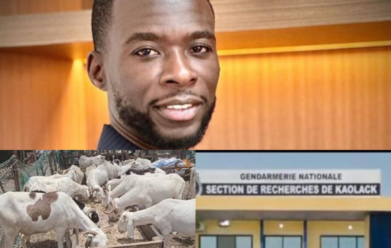 Arrêté par la SR de Kaolack : un maître coranique usurpait l'identité de la Fondation Mohamed Rassoul Dieng en promettant des moutons à ses victimes