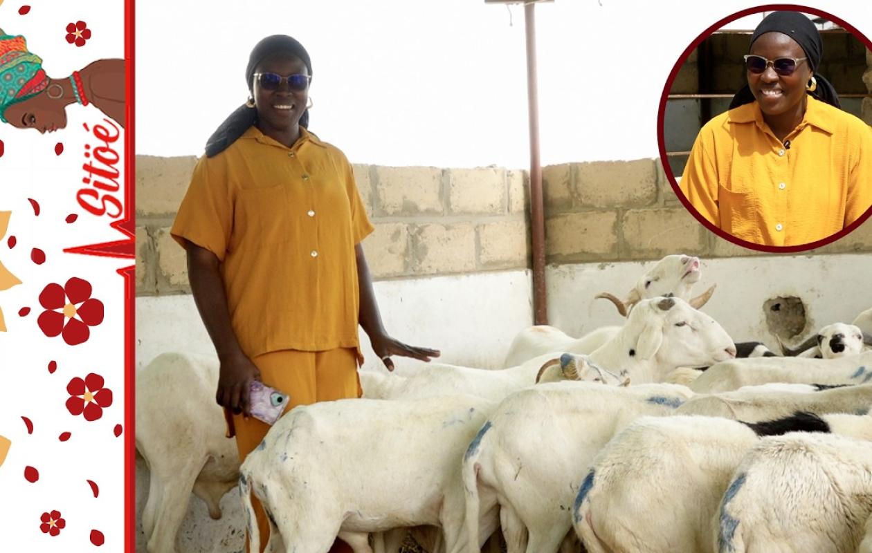Tabaski 2.0 : L'incroyable business de Marième Diouf Ndour, la bergère du Digital