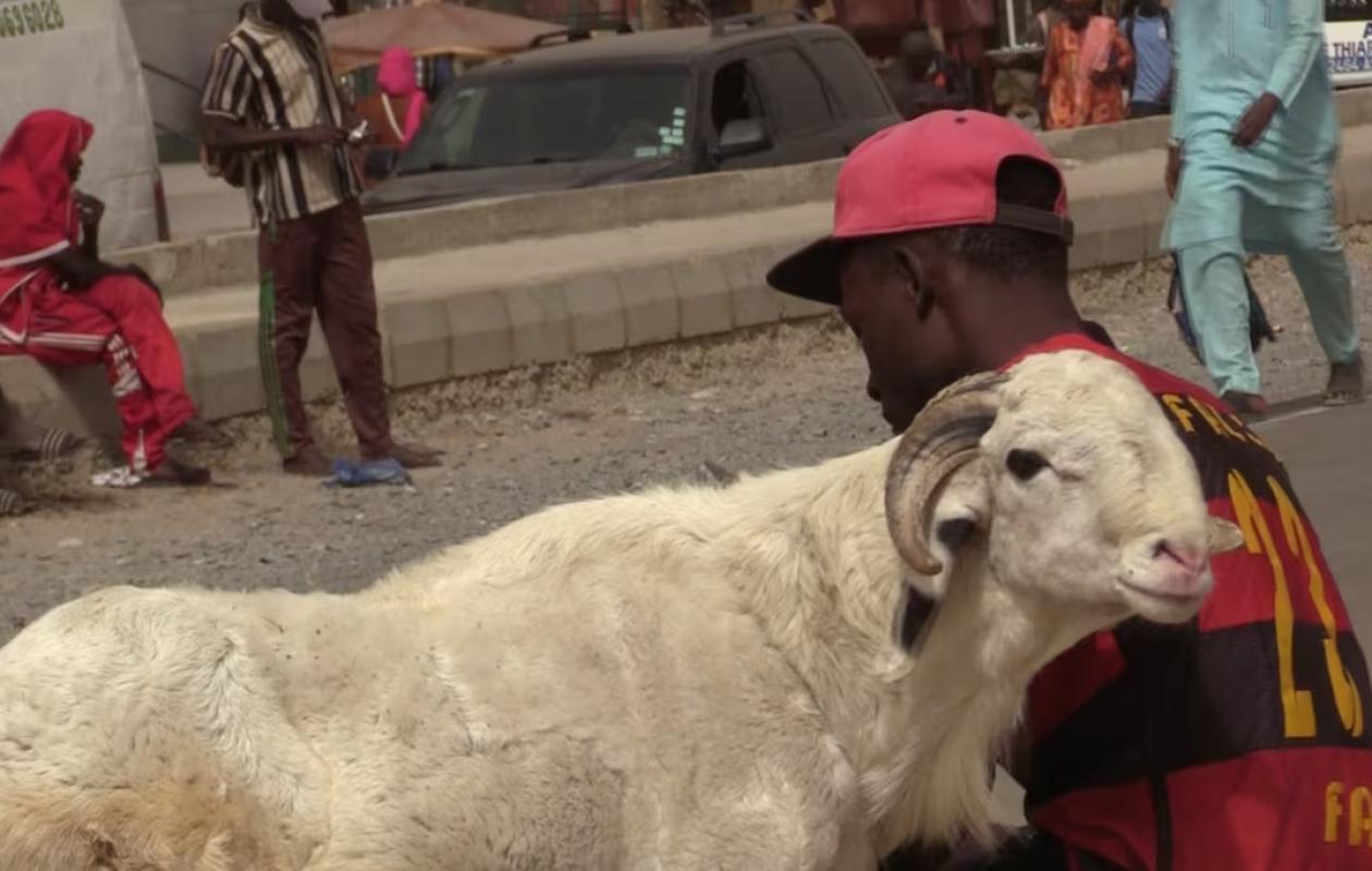 « On s'organise comme on peut » : Le quotidien des musulmans gabonais face à la cherté du mouton