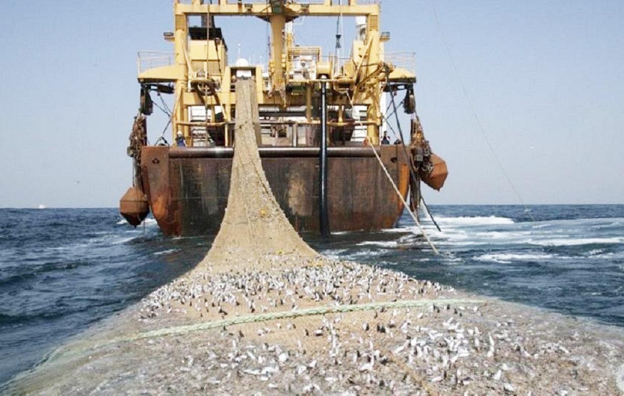 Pêche démersale : Le dégel des licences vivement contesté par le GAIPES