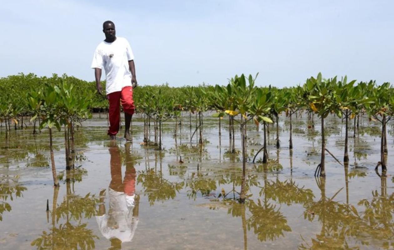 Journée mondiale de l’océan : Les communautés côtières de  Joal-Fadiouth  plaident pour une reconnaissance de leurs solutions de conservation