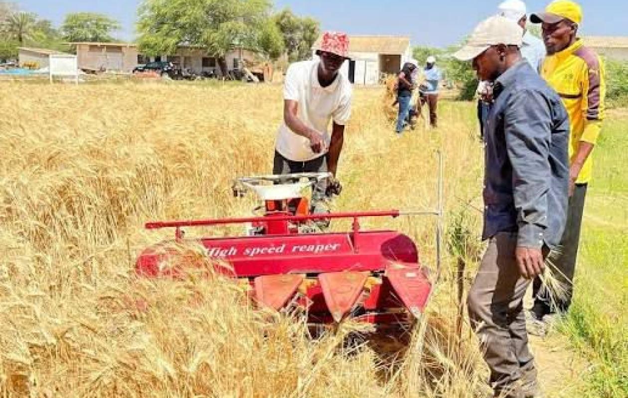 De la nécessité de le petite mécanisation de l’Agriculture Sénégalaise (Par  Pape Ba Gahn)