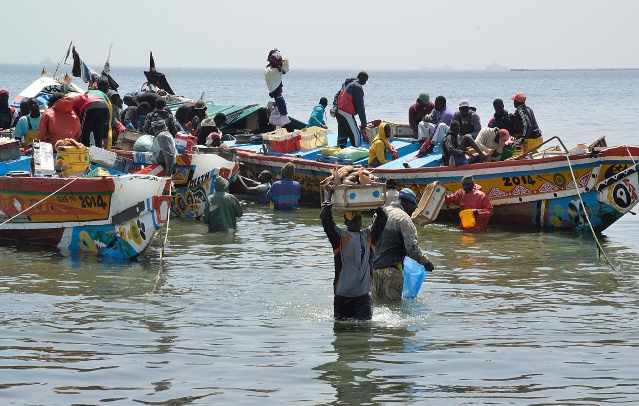 « Repoussez les bateaux industriels ! » : la colère des pêcheurs monte sur le littoral sénégalais