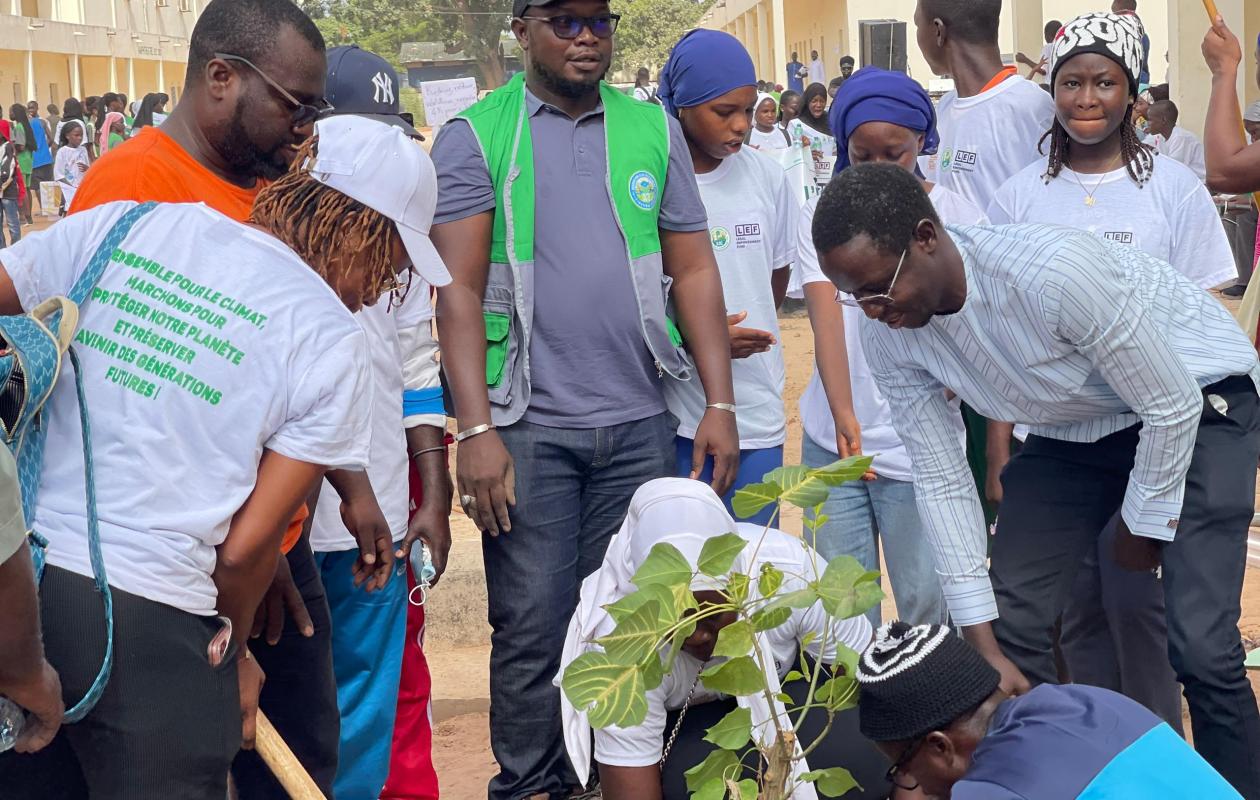 Lutte  contre la dégradation de l'environnement et des écosystèmes à Ziguinchor : La jeunesse se mobilise pour une forte implication citoyenne